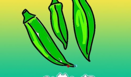 秋葵视频,揭秘秋葵的营养与美味，轻松掌握烹饪技巧